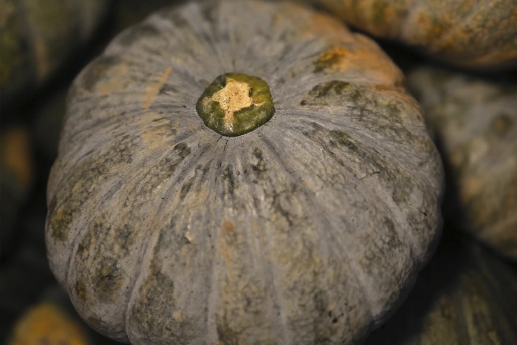 calabaza