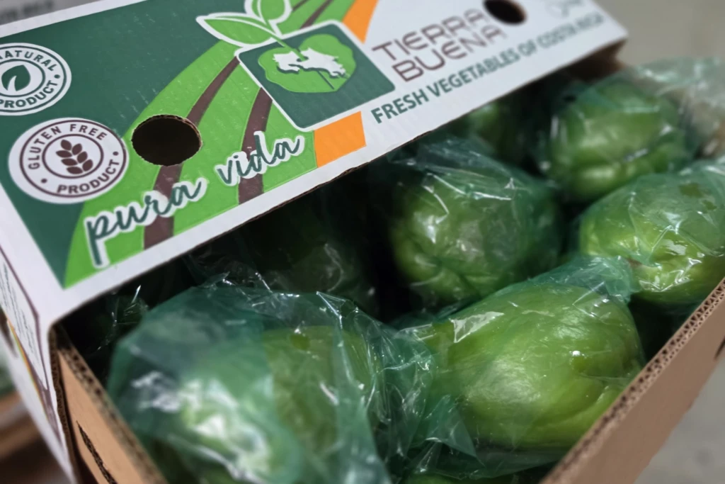 chayote