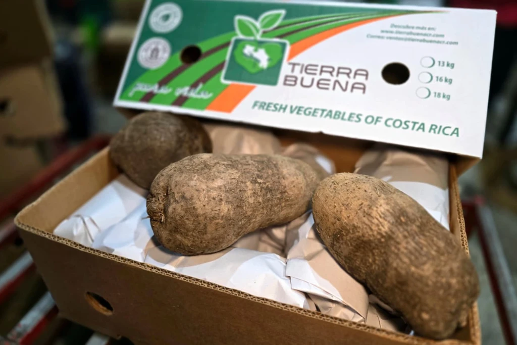 white yam